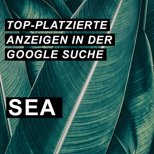 Top platzierte Anzeigen in der Google Suche - SEA