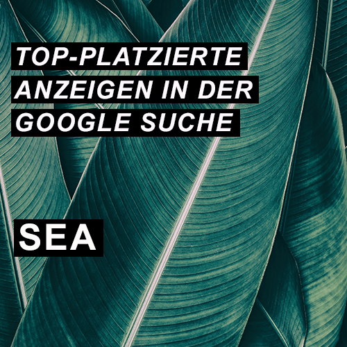 Top-Platzierte Anzeigen in der Google Suche SEA